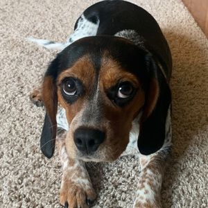 Meet your Posher, Krista